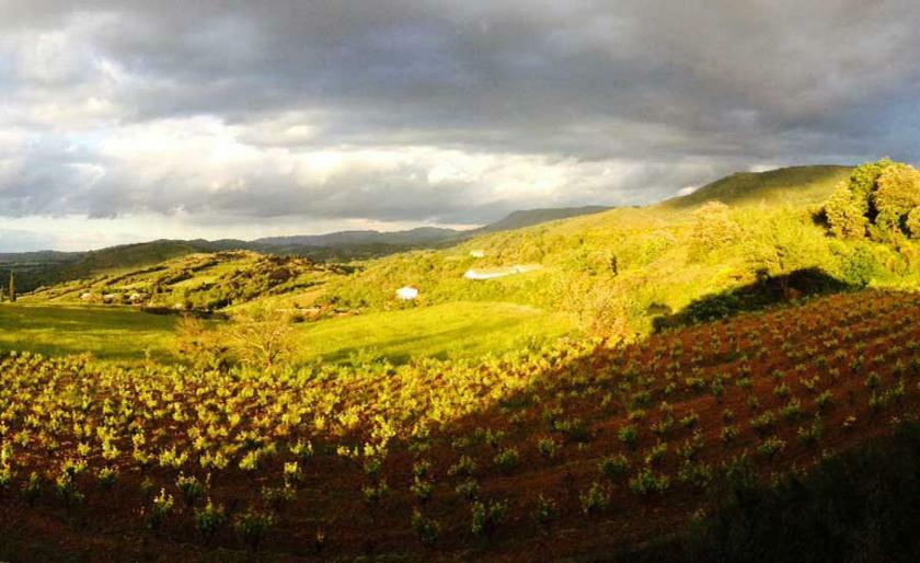 Gite Vigneron Du Domaine D'Alon Magrie Dış mekan fotoğraf