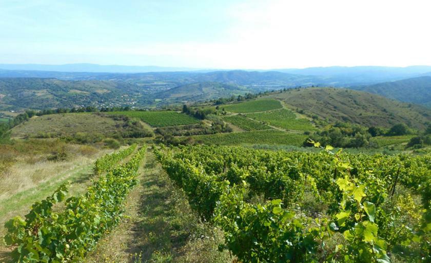 Gite Vigneron Du Domaine D'Alon Magrie Dış mekan fotoğraf