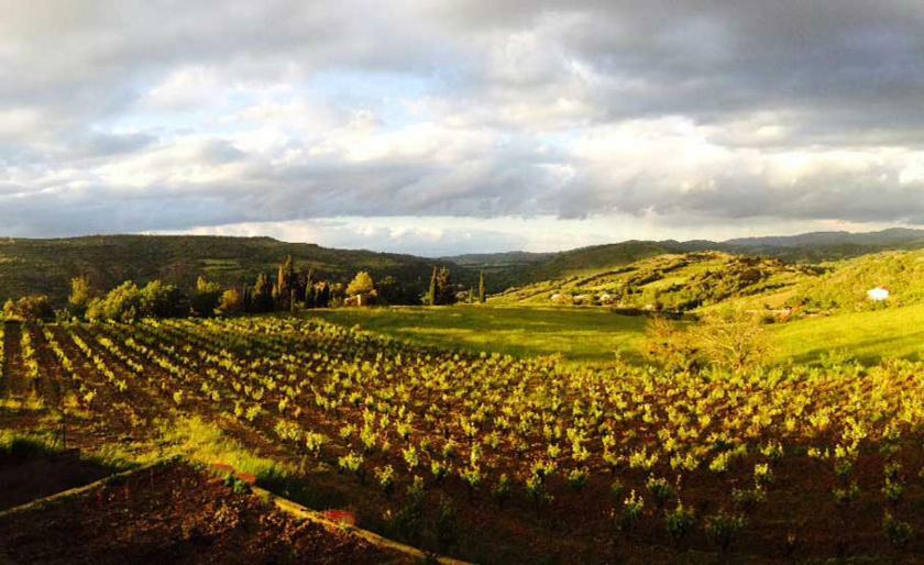 Gite Vigneron Du Domaine D'Alon Magrie Dış mekan fotoğraf