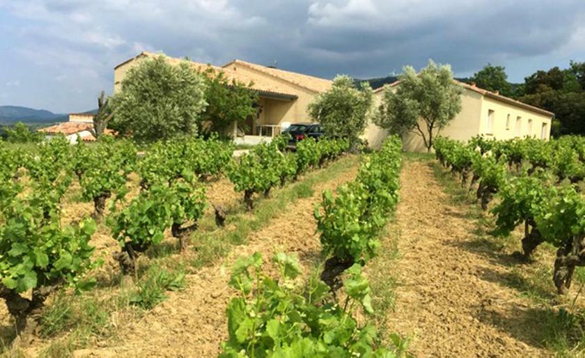 Gite Vigneron Du Domaine D'Alon Magrie Dış mekan fotoğraf