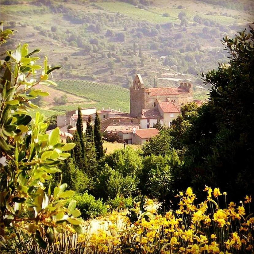 Gite Vigneron Du Domaine D'Alon Magrie Dış mekan fotoğraf