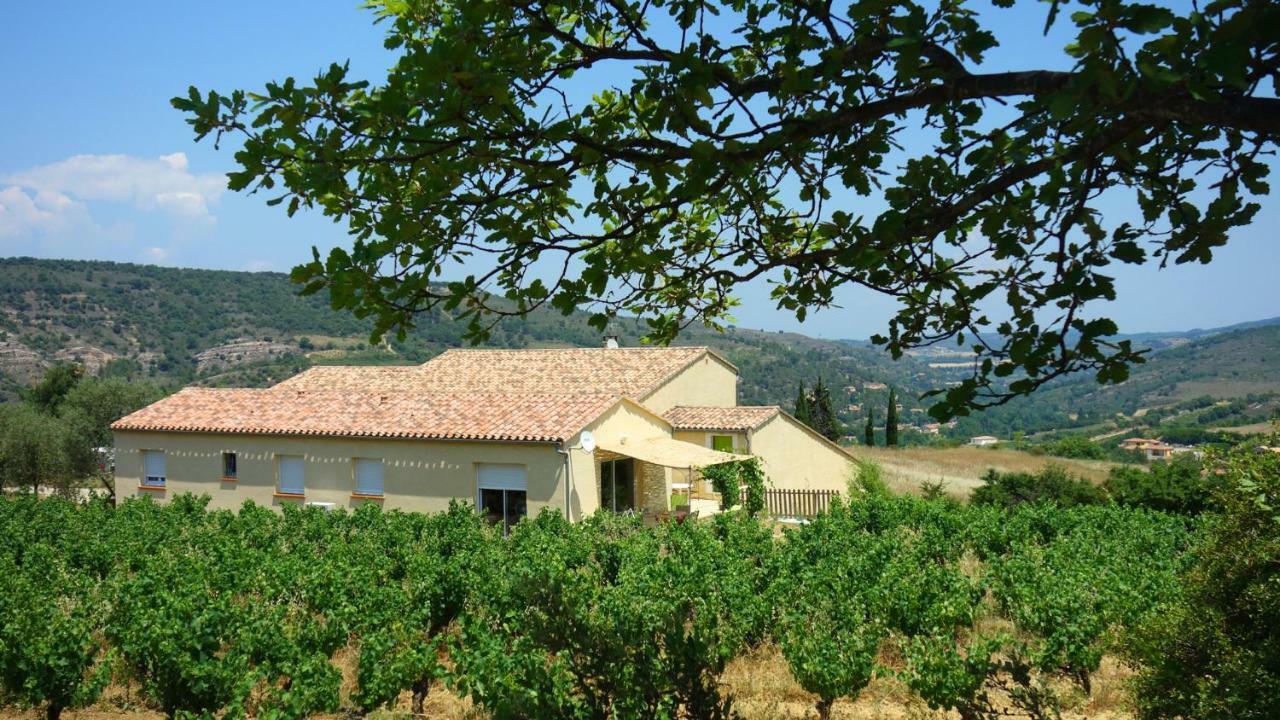 Gite Vigneron Du Domaine D'Alon Magrie Dış mekan fotoğraf