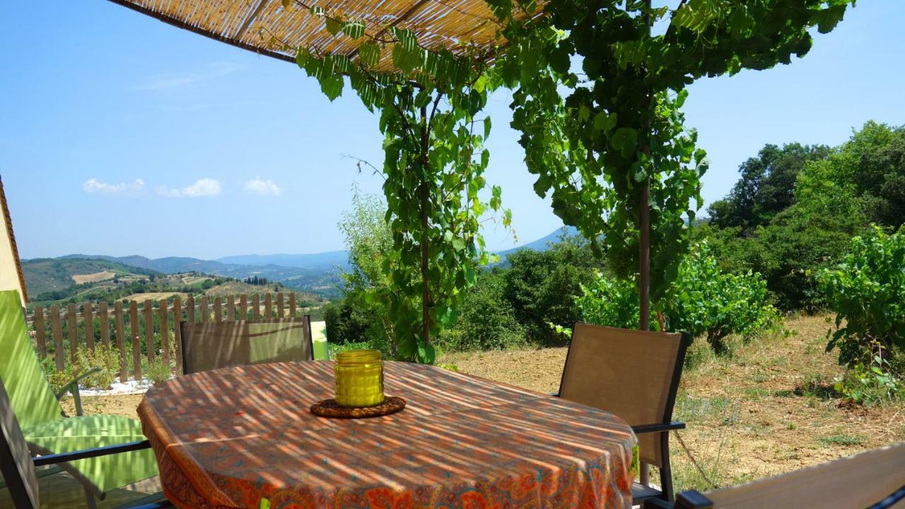 Gite Vigneron Du Domaine D'Alon Magrie Dış mekan fotoğraf
