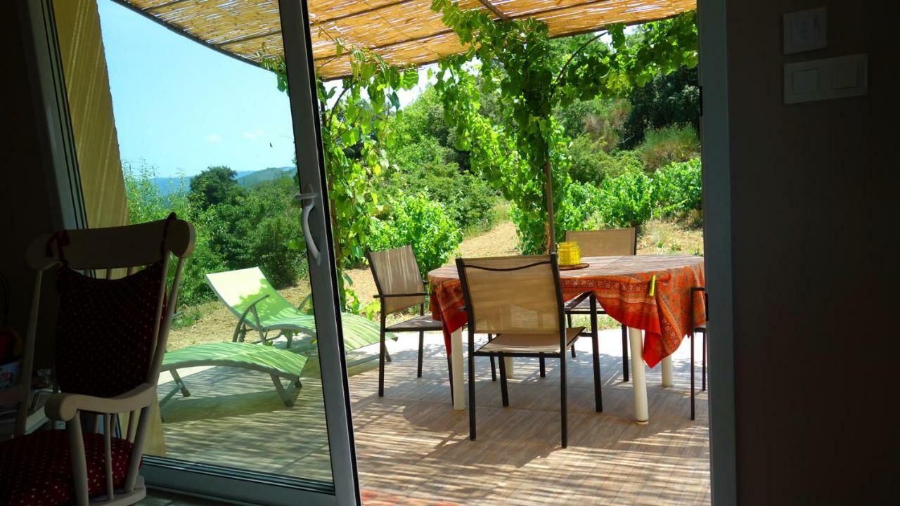 Gite Vigneron Du Domaine D'Alon Magrie Dış mekan fotoğraf