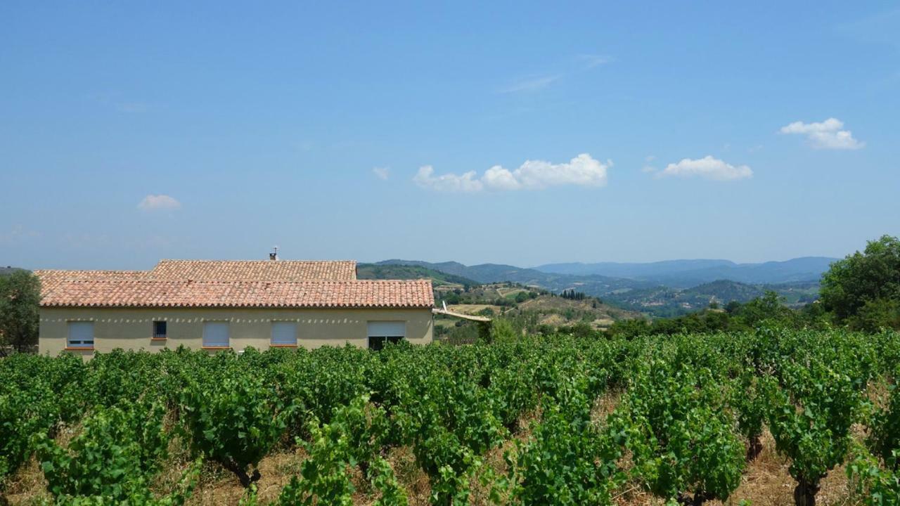 Gite Vigneron Du Domaine D'Alon Magrie Dış mekan fotoğraf