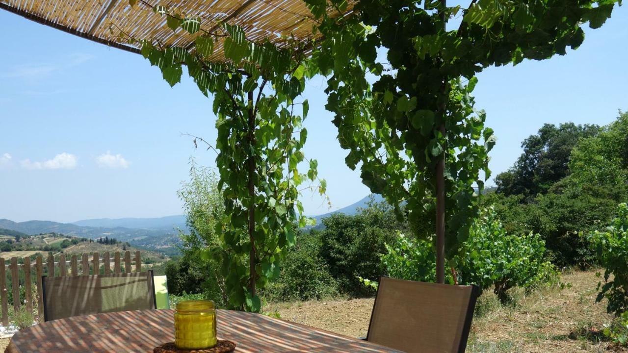 Gite Vigneron Du Domaine D'Alon Magrie Dış mekan fotoğraf